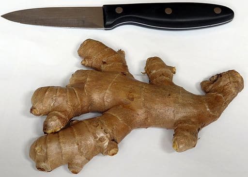 Ginger Root