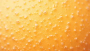 cellulite